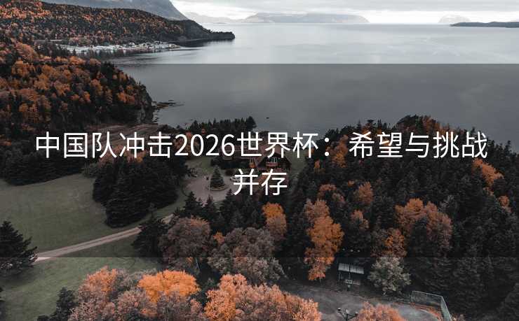 中国队冲击2026世界杯：希望与挑战并存