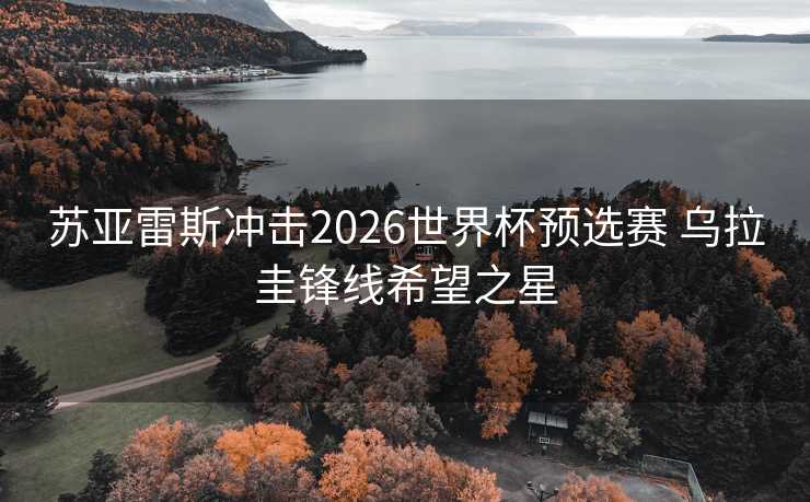 苏亚雷斯冲击2026世界杯预选赛 乌拉圭锋线希望之星 苏亚雷斯冲击2026世界杯预选赛 乌拉圭锋线希望之星